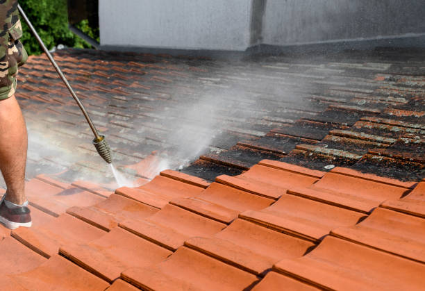 Best Commercial Pressure Washing  in Mount Pulaski, IL