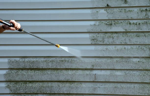 Best Commercial Pressure Washing  in Mount Pulaski, IL