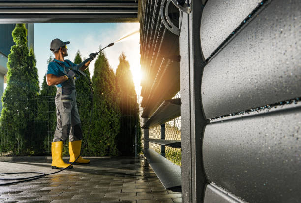 Best Affordable Power Washing  in Mount Pulaski, IL