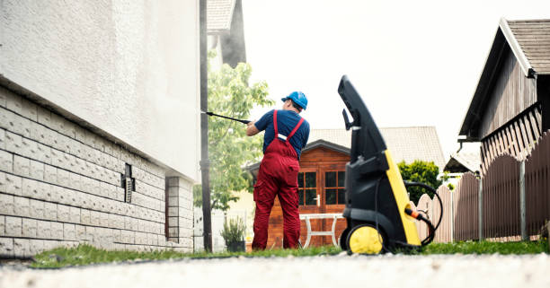 Best Exterior Home Cleaning  in Mount Pulaski, IL